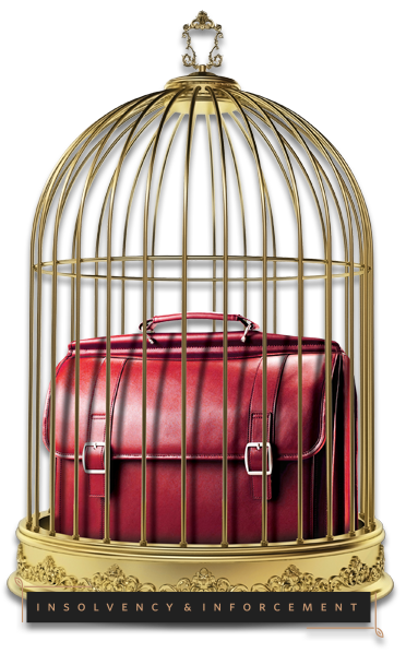 Insolvency & Enforcement